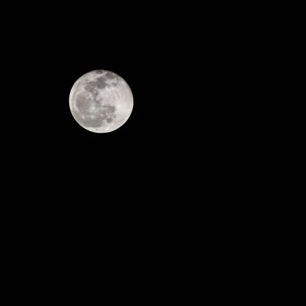 Pleine Lune Dans Ciel Sombre Pendant Nuit Grande Super Lune — Photo