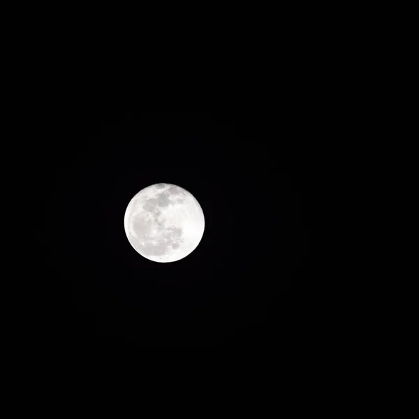 Pleine Lune Dans Ciel Sombre Pendant Nuit Grande Super Lune — Photo