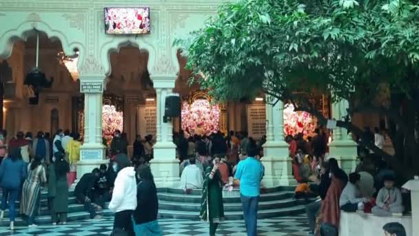 Vrindavan India Febrero 2022 Peregrinos Templo Iscon Durante Mes Sagrado — Vídeo de stock