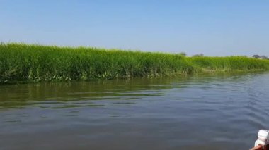 Yamuna Nehri Vrindavan, Krishna Tapınağı 'ndaki tekneden Vrindavan kasabasındaki Yamuna Nehri kıyısındaki Kesi Ghat, Yamuna Nehri Vrindavan Vrindavan' daki tekne manzarası.