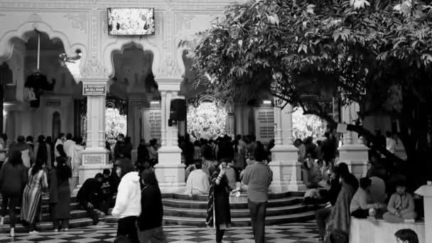 2022年2月12日インドのヴリンダバン カルトカの神聖な月の間のIscon寺院の巡礼者 献身的な人々が黒と白を収集するEkadashi祭り中のVrindavan Iskon寺院の内部ビュー — ストック動画