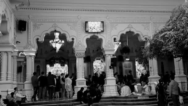 Vrindavan India Febrero 2022 Peregrinos Templo Iscon Durante Mes Sagrado — Vídeos de Stock