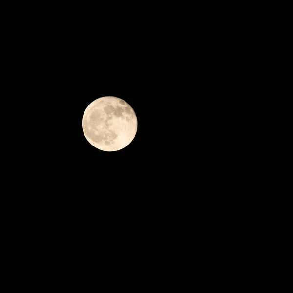 Maan Timelapse Voorraad Time Lapse Volle Maan Opkomst Donkere Natuur — Stockfoto