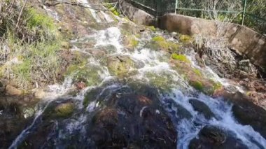 Vahşi Doğadaki Şelale, İnsan Şelale 'yi gündüz gözüyle görüyordu. Nanital Uttarakhand Hindistan 'da şelale manzarası