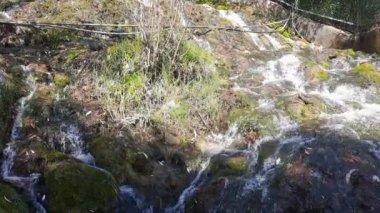 Vahşi Doğadaki Şelale, İnsan Şelale 'yi gündüz gözüyle görüyordu. Nanital Uttarakhand Hindistan 'da şelale manzarası