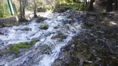 Vahşi Doğadaki Şelale, İnsan Şelale 'yi gündüz gözüyle görüyordu. Nanital Uttarakhand Hindistan 'da şelale manzarası