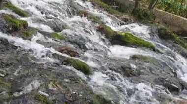 Vahşi Doğadaki Şelale, İnsan Şelale 'yi gündüz gözüyle görüyordu. Nanital Uttarakhand Hindistan 'da şelale manzarası