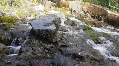 Vahşi Doğadaki Şelale, İnsan Şelale 'yi gündüz gözüyle görüyordu. Nanital Uttarakhand Hindistan 'da şelale manzarası