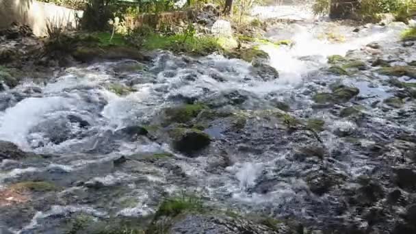 Vattenfall Wild Nature Man Made Waterfall Full Utsikt Dagen Vattenfall — Stockvideo