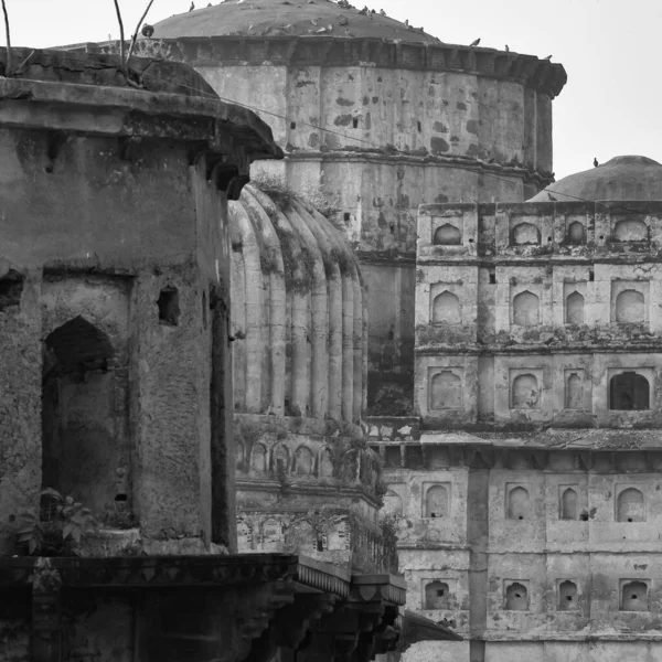 位于印度中央邦Orchha 印度失踪城市Orchha 印度考古遗址Black White的皇家半人马座 Chhatris — 图库照片