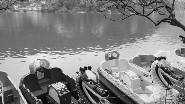 우타라칸드에 근처의 니호의 아름다운 과푸른 호수의 아름다운 — 비디오