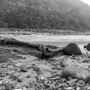 Rishikesh Uttarakhand yakınlarındaki GOA plajında sabah manzarası, sabahın erken saatlerinde Rishikesh 'teki Ganga nehrinin temiz manzarası, Dünyaca ünlü GANGA nehri tamamen siyah ve beyaz manzaralı
