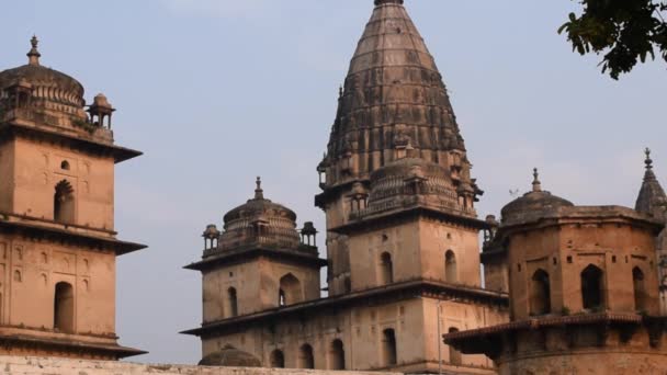 Morning View Royal Cenotaphs Chhatris Orchha Madhya Pradesh Índia Orchha — Vídeo de Stock