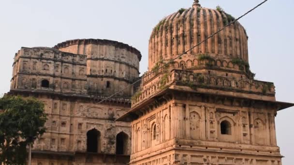 Morning View Royal Cenotaphs Chhatris Orchha Madhya Pradesh India Orchha — Stock video