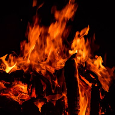 Alevler siyah arka planda, Alevler alev alev dokusu arka planda, güzel bir şekilde, ateş yanıyor, odun ve inek kakasıyla alevler