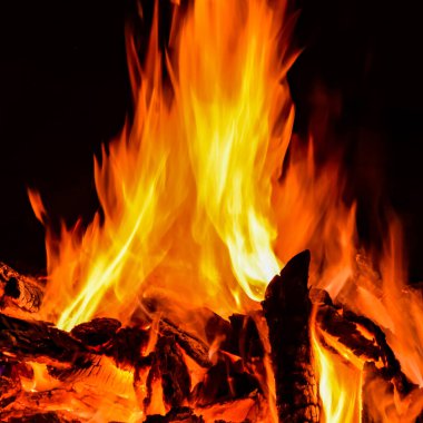 Alevler siyah arka planda, Alevler alev alev dokusu arka planda, güzel bir şekilde, ateş yanıyor, odun ve inek kakasıyla alevler