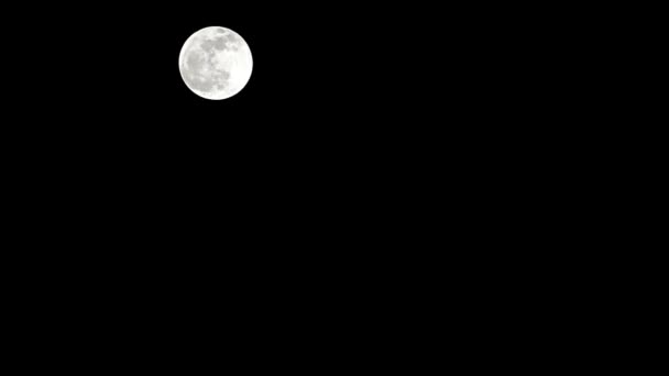 Moon Timelapse Stock Time Lapse Luna Piena Sorgere Nel Cielo — Video Stock