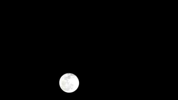 Moon Timelapse Stock Time Lapse Full Moon Rise Dark Nature — Stock Video