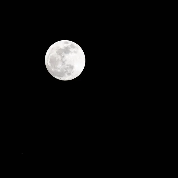 Moon Timelapse Stock Time Lapse Full Moon Rise Dark Nature — Stock Photo, Image