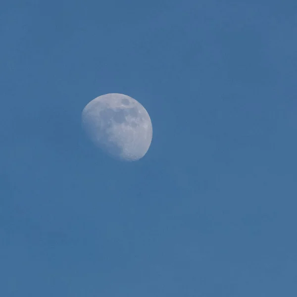 Moon Timelapse Stock Zamanaşımı Dolunay Karanlık Gökyüzünde Yükseliyor Gece Vakti — Stok fotoğraf