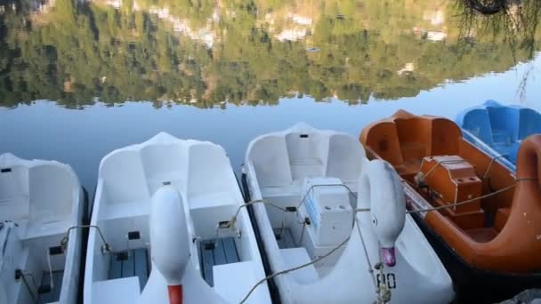 Volle Sicht Auf Den Naini Lake Während Der Abendstunden Der — Stockvideo