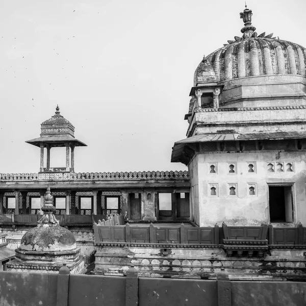 Vista Matutina Los Cenotafios Reales Chhatris Orchha Madhya Pradesh India —  Fotos de Stock
