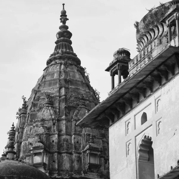 Morning View Royal Cenotaphs Chhatris Orchha Madhya Pradesh India Orchha — Stock fotografie