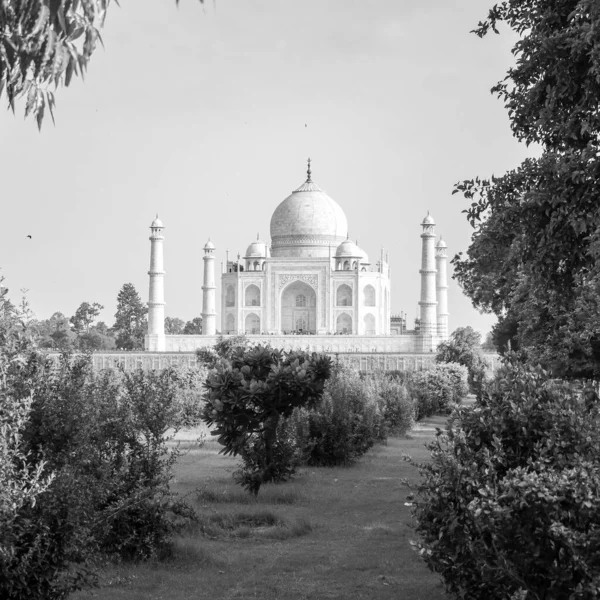Taj Mahal Jeden Div Světa Pohled Mehtab Bagh Zahradní Straně — Stock fotografie