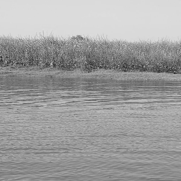 Vista Del Río Yamuna Desde Barco Durante Día Vrindavan Templo — Foto de Stock