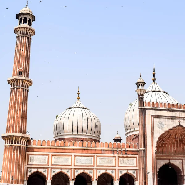 인도의 모스크인 계절에 델리에 금요일 모스크 마스지드 시가지인 마스지드 모스크 — 스톡 사진