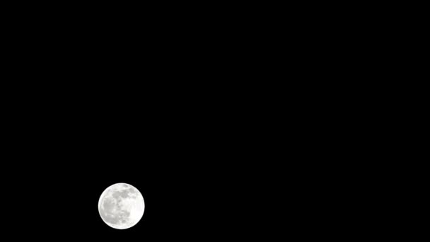 Moon Timelapse Stock Time Lapse Bulan Purnama Terbit Langit Alam — Stok Video