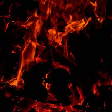 Siyah arka planda alevler, alev alev dokusu arka planda, çok güzel, ateş yanıyor, ateş odun ve inek gübresi ateşiyle yanıyor.
