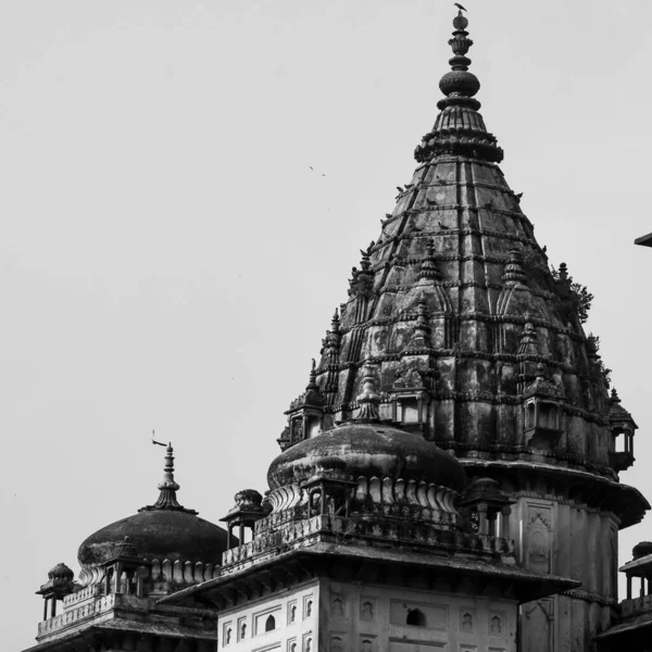 インド マディヤ プラデーシュ州 オーチャのロイヤル セントーパス シャトリス の朝の眺めインドの失われた都市 インドの考古学遺跡黒と白 — ストック写真
