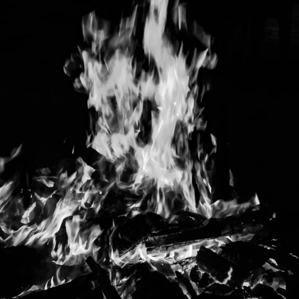黒の背景に火の炎 炎の炎のテクスチャの背景 美しいです 火が燃えています 木や牛の糞たき火で火の炎黒と白 — ストック写真