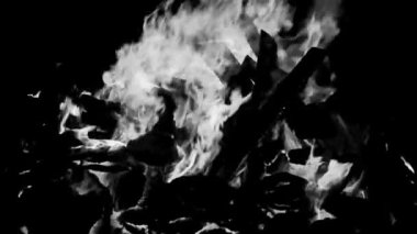 Siyah arka planda ateş alevleri, alev alev dokusu arka planda, çok güzel, ateş yanıyor, odun ve inek gübresi ile ateş siyah ve beyaz şenlik ateşi