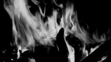 Siyah arka planda ateş alevleri, alev alev dokusu arka planda, çok güzel, ateş yanıyor, odun ve inek gübresi ile ateş siyah ve beyaz şenlik ateşi