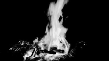Siyah arka planda ateş alevleri, alev alev dokusu arka planda, çok güzel, ateş yanıyor, odun ve inek gübresi ile ateş siyah ve beyaz şenlik ateşi