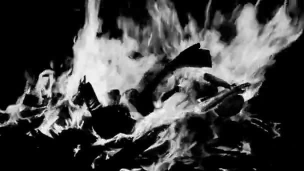 Llamas Fuego Sobre Fondo Negro Blaze Fuego Textura Llama Fondo — Vídeo de stock