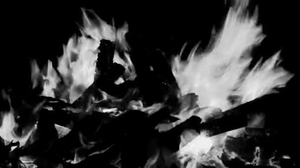 Φωτιά Φλόγες Μαύρο Φόντο Φωτιά Φωτιά Φλόγα Υφή Φόντο Όμορφα — Αρχείο Βίντεο