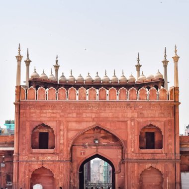 Architectural detail of Jama Masjid Mosque, Old Delhi, India, The spectacular architecture of the Great Friday Mosque (Jama Masjid) in Delhi 6 during Ramzan season, the most important Mosque in India