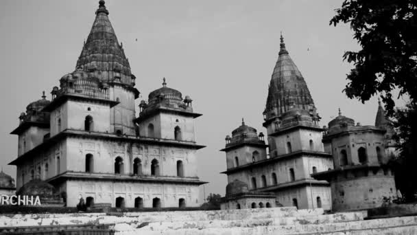 Morning View Royal Cenotaphs Chhatris Orchha Madhya Pradesh India Orchha — Stock video