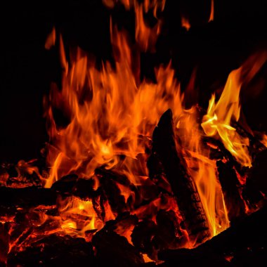 Siyah arka planda alevler, alev alev dokusu arka planda, çok güzel, ateş yanıyor, ateş odun ve inek gübresi ateşiyle yanıyor.