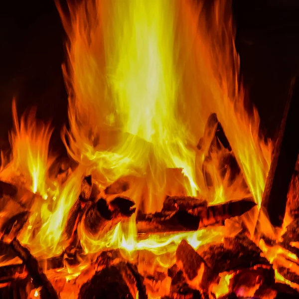 Siyah arka planda alevler, alev alev dokusu arka planda, çok güzel, ateş yanıyor, ateş odun ve inek gübresi ateşiyle yanıyor.