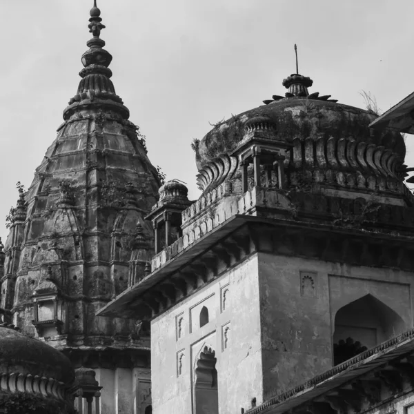 Vista Matutina Los Cenotafios Reales Chhatris Orchha Madhya Pradesh India —  Fotos de Stock