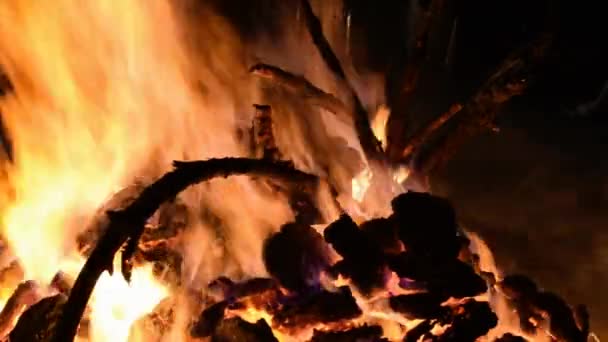 Fuoco Fiamme Sfondo Nero Fiamma Fiamma Fiamma Sfondo Texture Splendidamente — Video Stock