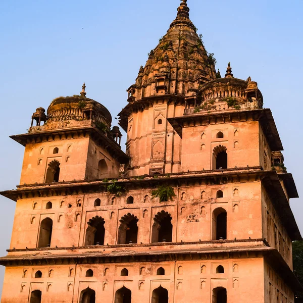 Ranek Widok Królewskich Cenotafów Chhatris Orchha Madhya Pradesh Indie Orchha — Zdjęcie stockowe
