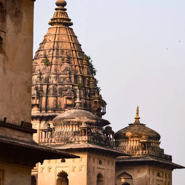 Morning View of Royal Cenotaphs (Chhatris) of Orchha, Madhya Pradesh, India, Orchha the lost city of India, Indian archaeological sites