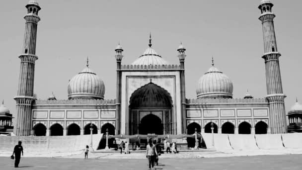 Делі Індія Березня 2024 Року Невідомі Індійські Туристи Які Відвідують — стокове відео