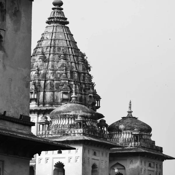 Vista Matutina Los Cenotafios Reales Chhatris Orchha Madhya Pradesh India —  Fotos de Stock