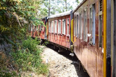 Oyuncak tren dağ yamaçlarında hareket ediyor, güzel bir manzara, bir dağ yamacı, bir vadi yamaçtan tepeye hareket ediyor, yeşil doğal ormanın arasında. Kalka 'dan Shimla' ya giden oyuncak tren Hindistan 'da.